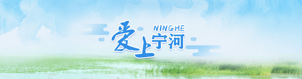 爱上宁河
